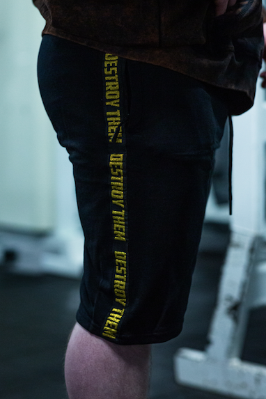 Destroy Them Shorts
