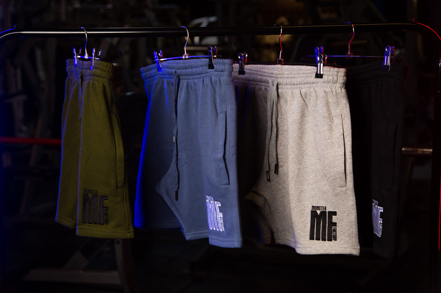 Vintage Fleece shorts