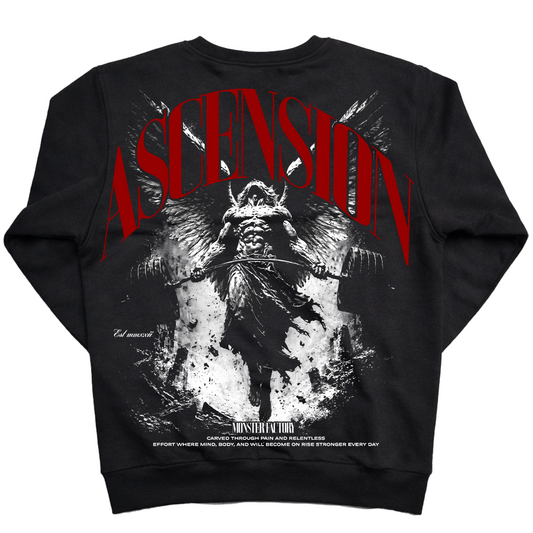 Ascension / Sweatshirt
