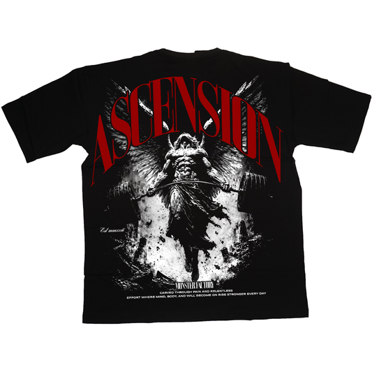 Ascension / Oversized Tee