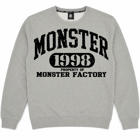 Grey sweatshirt | 1998