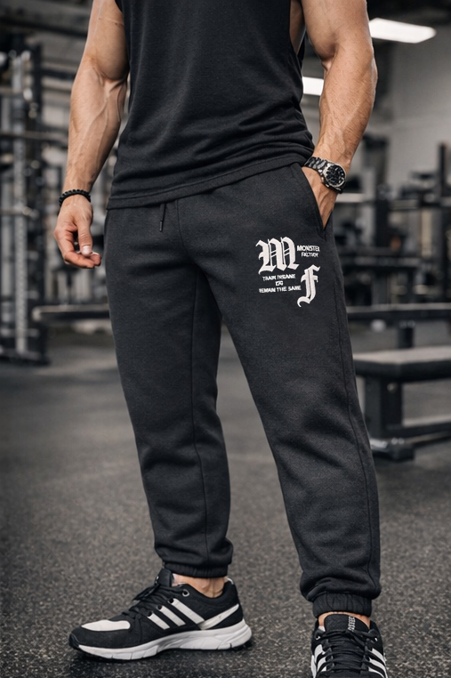 Regular fit Joggers