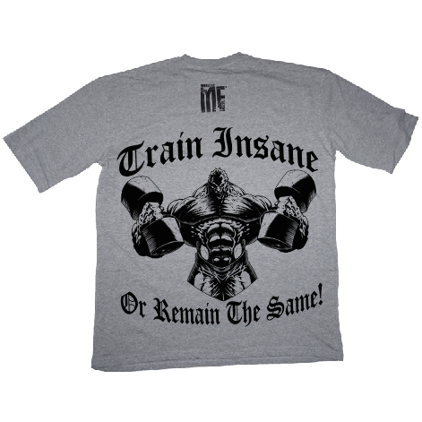 Train Insane Grey oversized tee